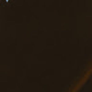 Meet your Posher, Henry